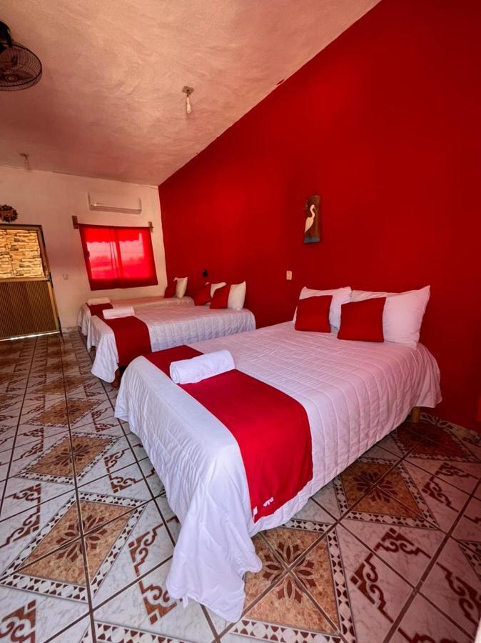 Hotel Y Bungalows Bugambilias San Patricio Eksteriør billede